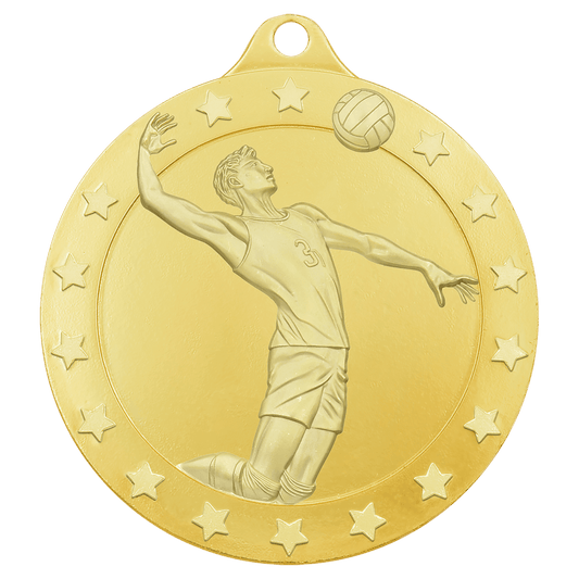 Gold male volleyball Radiance medal