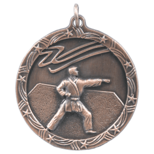 Antique Bronze Martial Arts Shooting Star Medal